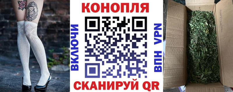 Купить наркотики сайты Чегем Псилоцибиновые грибы  APVP  Меф  Конопля  Амфетамин 