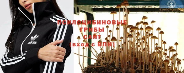 гашиш Горняк