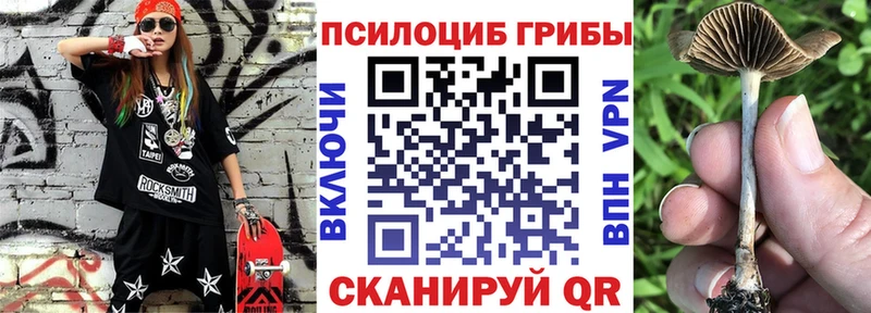 наркота  Чегем  Псилоцибиновые грибы мицелий 