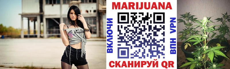 Конопля планчик  где купить наркоту  kraken ССЫЛКА  Чегем 